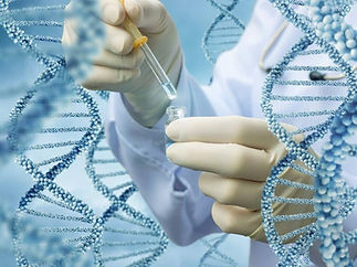 dna 1.jpg