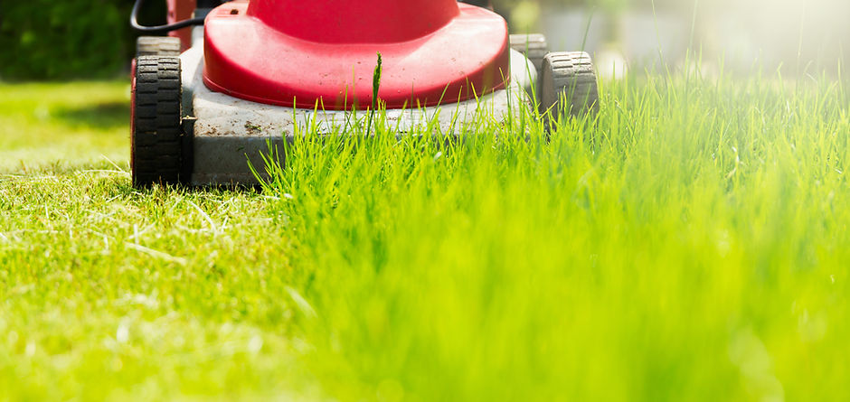 Summer and spring season sunny lawn mowi