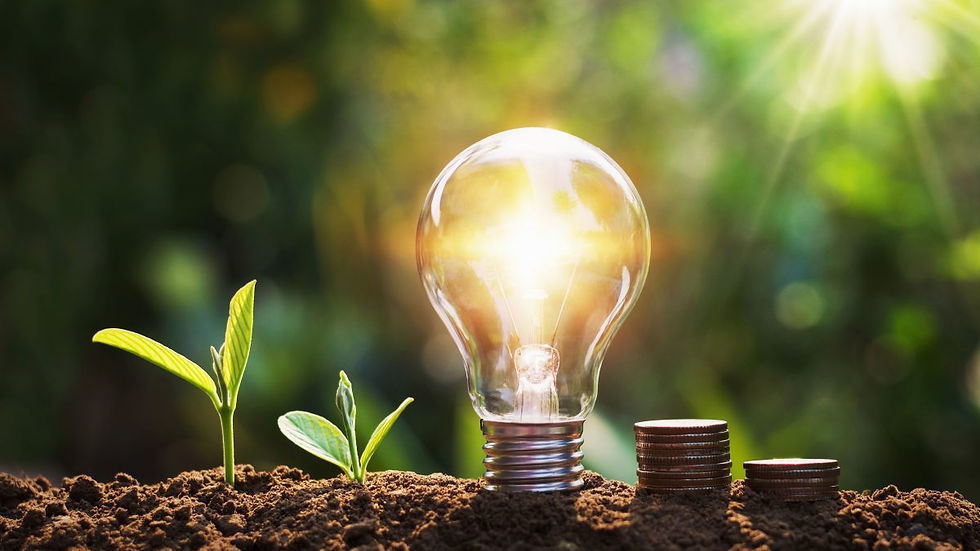Energy savings concept with lightbulb, small plants, and stacked coins in soil.