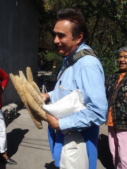 Zacatepec, Morelos 2010