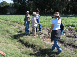 Zacatepec, Morelos 2006