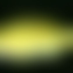 Species Spotlight: Opaleye