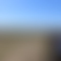 Irvine-Laguna Wildlife Corridor contributes to 30x30 goals (Laguna Greenbelt Guest Article)