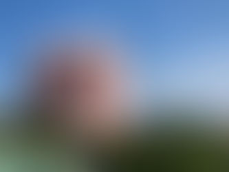 棟の取り直し工事