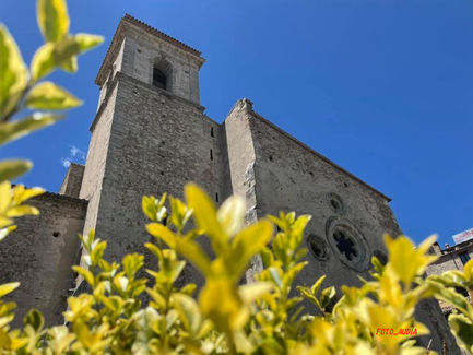 POLITICA: SE IL GIOCO SI FA DURO...