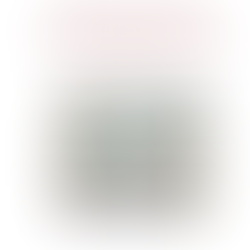 Il Centro Internazionale di Studi Gioachimiti ha pubblicato la traduzione in italiano della Concordia del Nuovo e dell’Antico Testamento di Gioacchino da Fiore. 