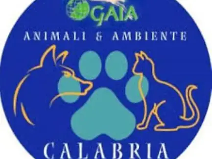 GAIA ANIMALI & AMBIENTE: “ANOMALIE SU CATTURA CANI RANDAGI A SAN GIOVANNI IN FIORE, È GIALLO"