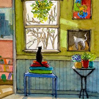black cat in the window