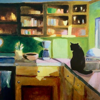 Black cat on the counter