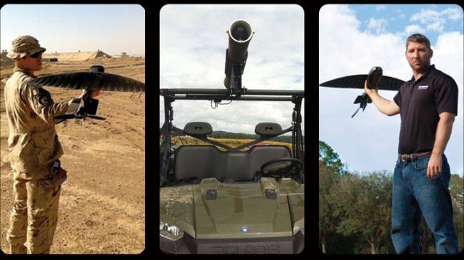 US army equipping soldiers with fleet of bird-like drones