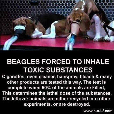 Do you recognise your impact on earth? Your actions are important than you can ever imagen.