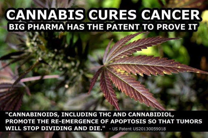 Big Pharmas Cannabis Patent