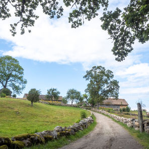 september_lerumsfk_jeanettepalm_leadinglines