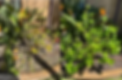 Screenshot 2026-05-07 at 1.06.39 PM.png