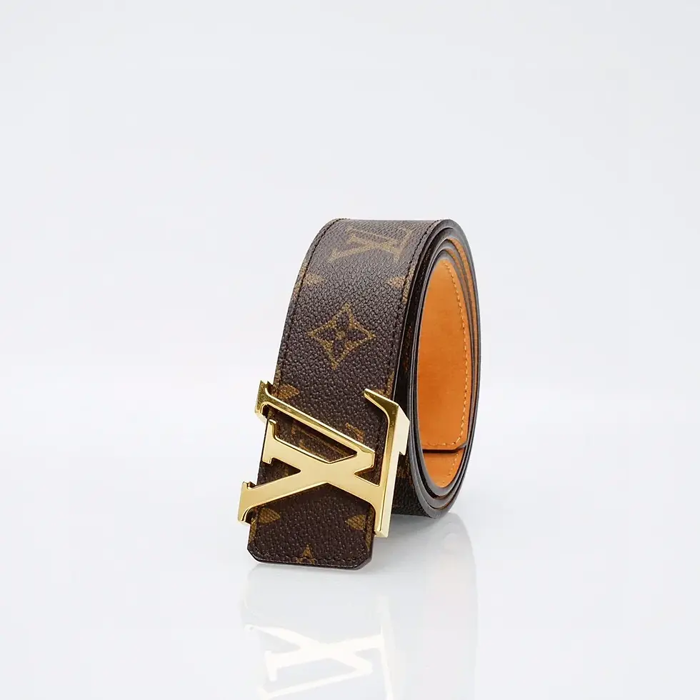 Thumbnail: Louis Vuitton Brown Belt