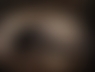 Gruta mais extensa de Rondônia é destruída após décadas de mineração; MPF cobra R$ 8 milhões