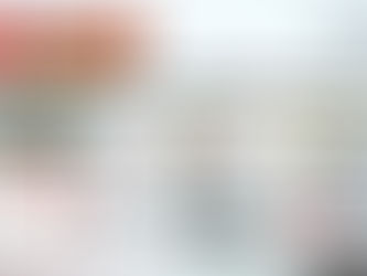 Criminosos usam nome do Sindsef/RO no WhatsApp para enganar filiados com falsos alvarás