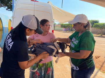 Castração em Extrema: Castramóvel faz sucesso e tem mais de 100 animais cadastrados para cirurgia