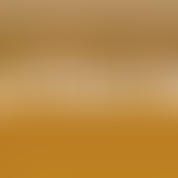 TJRO divulga resultados e convocações do concurso de cartórios em Rondônia