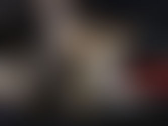 Mais de 500 animais já foram adotados em feiras realizadas pela Prefeitura