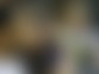 Governo anuncia concurso com 2 mil vagas para a Polícia Federal