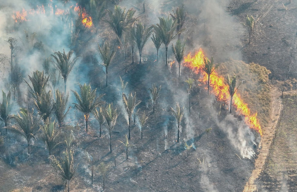 El Niño eleva risco de queimadas e prolonga estiagem em Porto Velho