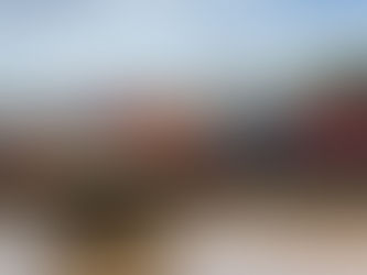 Porto de Porto Velho fortalece rota comercial com Peru e vai exportar pescado