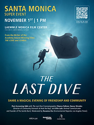TLD_Flyer_SantaMonica_Nov1.jpg