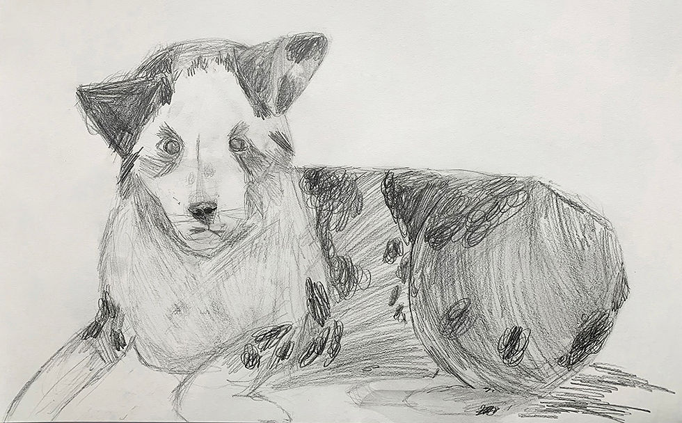1Dog.jpg