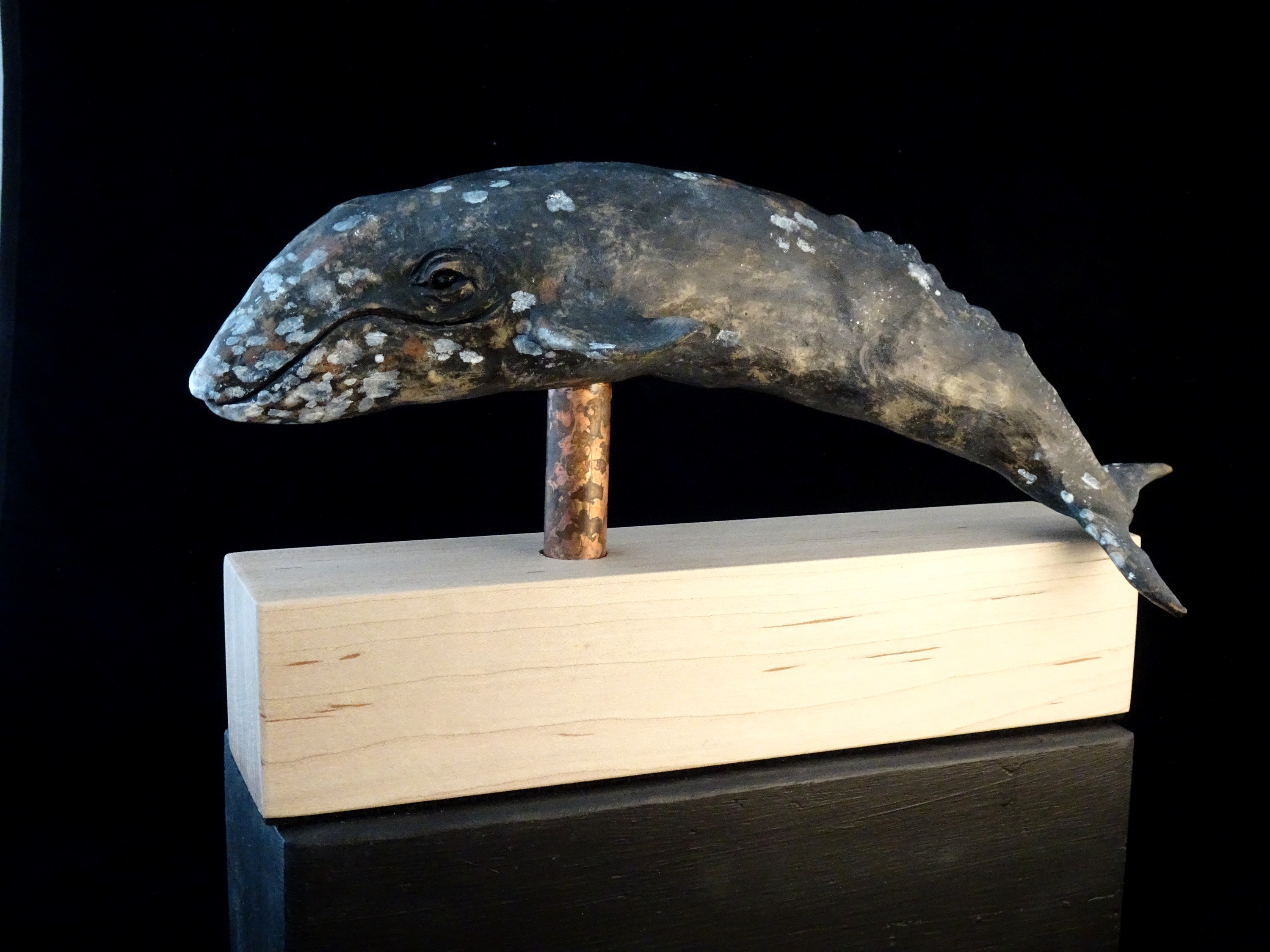 Mounted Gray Whale