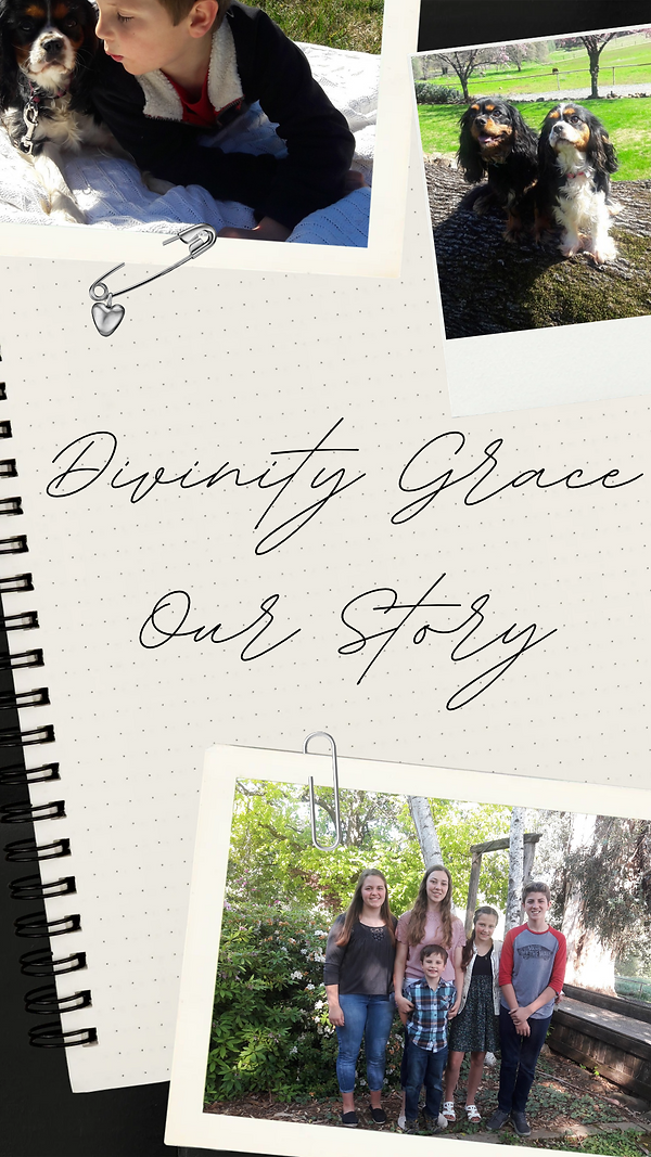 Beige Simple Photo Collage Summer Diaries Instagram Reel Cover.png