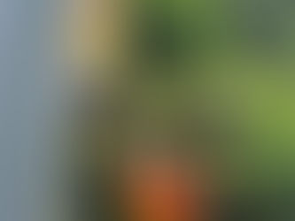 Schulübung 14/06/2024