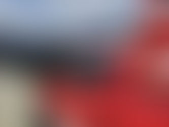 T11 11/04/2026