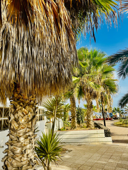 Promenada nad oceanem obsadzona palmami i jukami, idealna na spacer w słońcu na wybrzeżu Teneryfy.