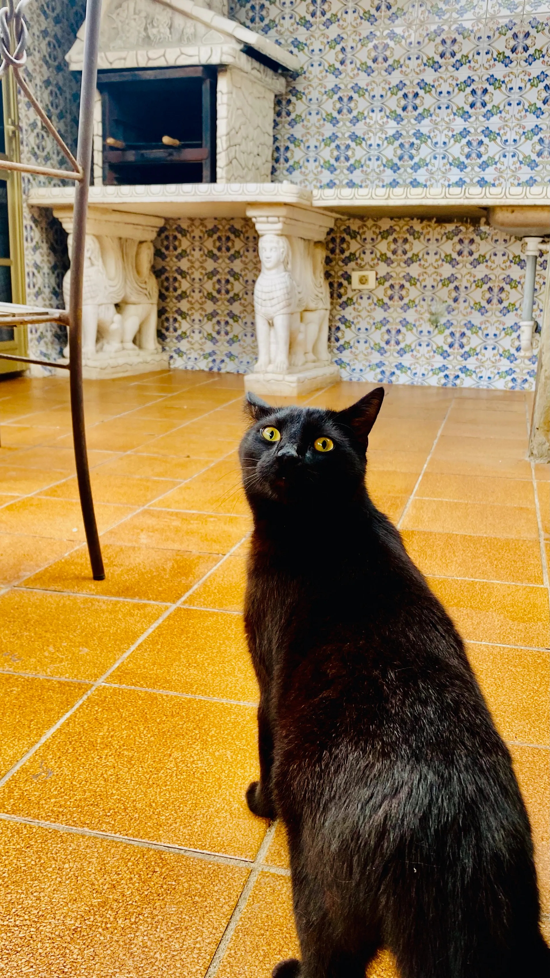 Czarny kot na tarasie w kanaryjskim domu – żółte oczy, kafelki w niebieskie wzory i spokojna atmosfera życia na Teneryfie.”