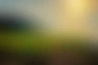 Zachód słońca nad dachami Buenavista del Norte – złote niebo, sylwetki budynków i ocean w tle na północy Teneryfy.