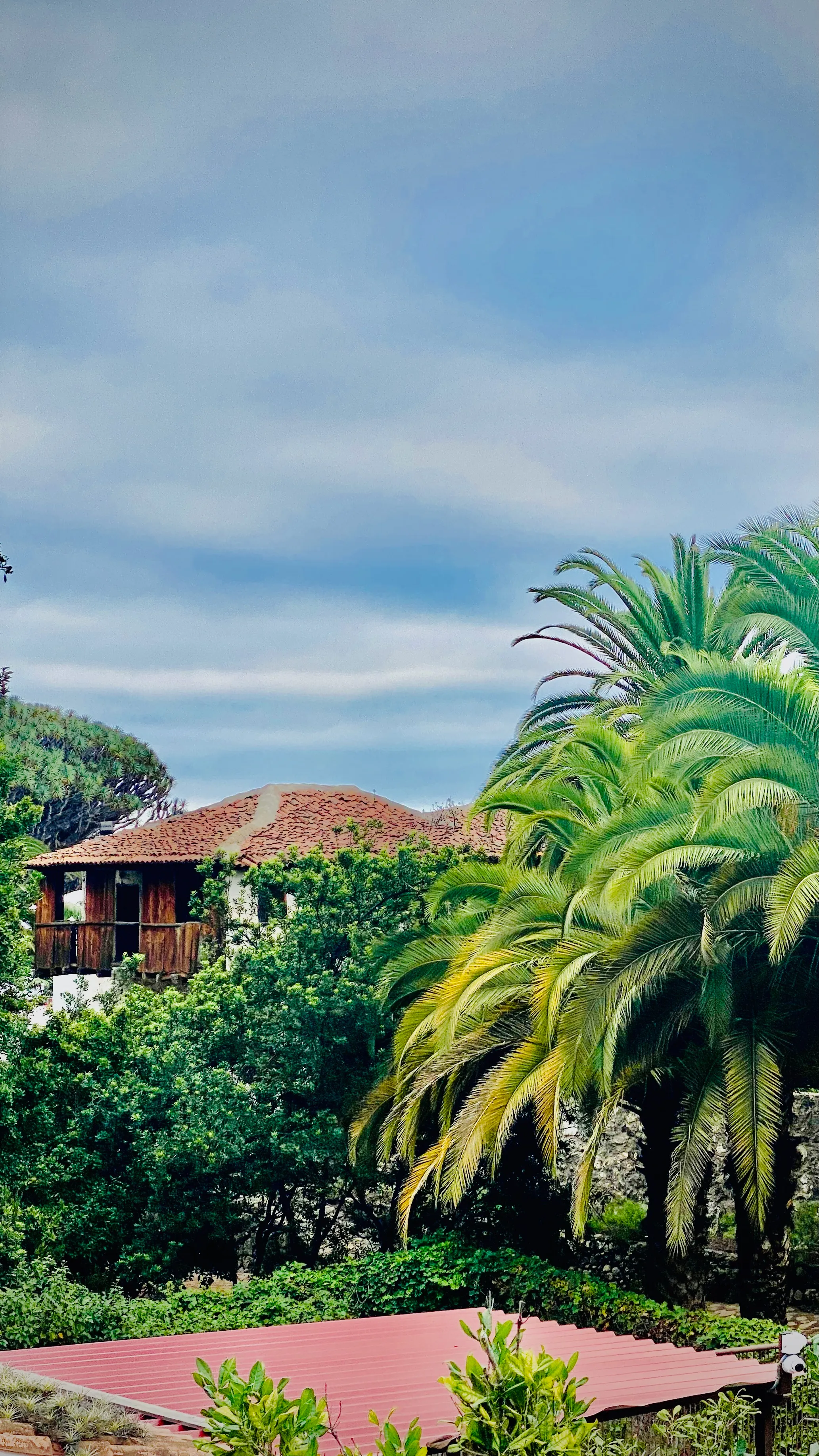 Drewniany kanaryjski dom z balkonem otoczony bujną zielenią i palmami na północy Teneryfy – sielski widok z ogrodu.