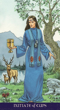 Miniatura: The Pagan Tarot