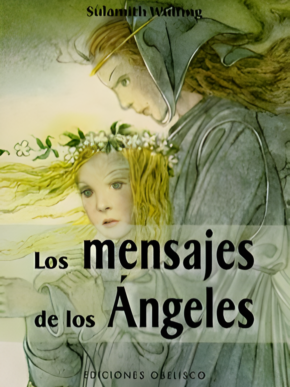 Los Mensajes De Los Ángeles: Libro y Cartas