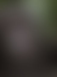 This Design-Led Safari Lodge in Uganda Offers Rare Access to Mountain Gorillas