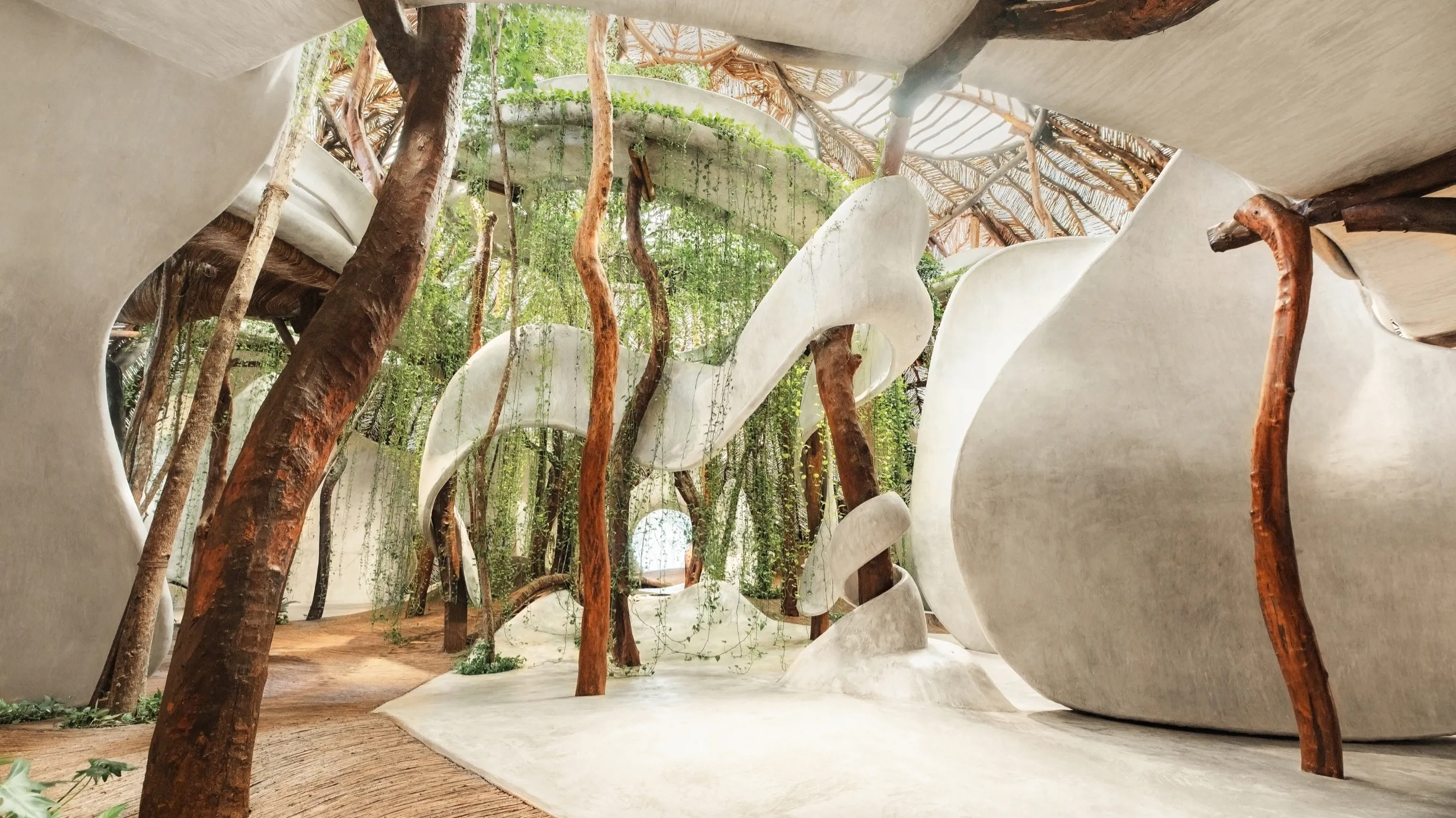 How To Introduce Biophilic Design Into Your Home Decor