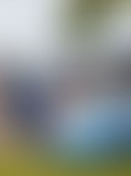 Salon Privé Opens Entries for Its Landmark 2026 Concours at Blenheim Palace