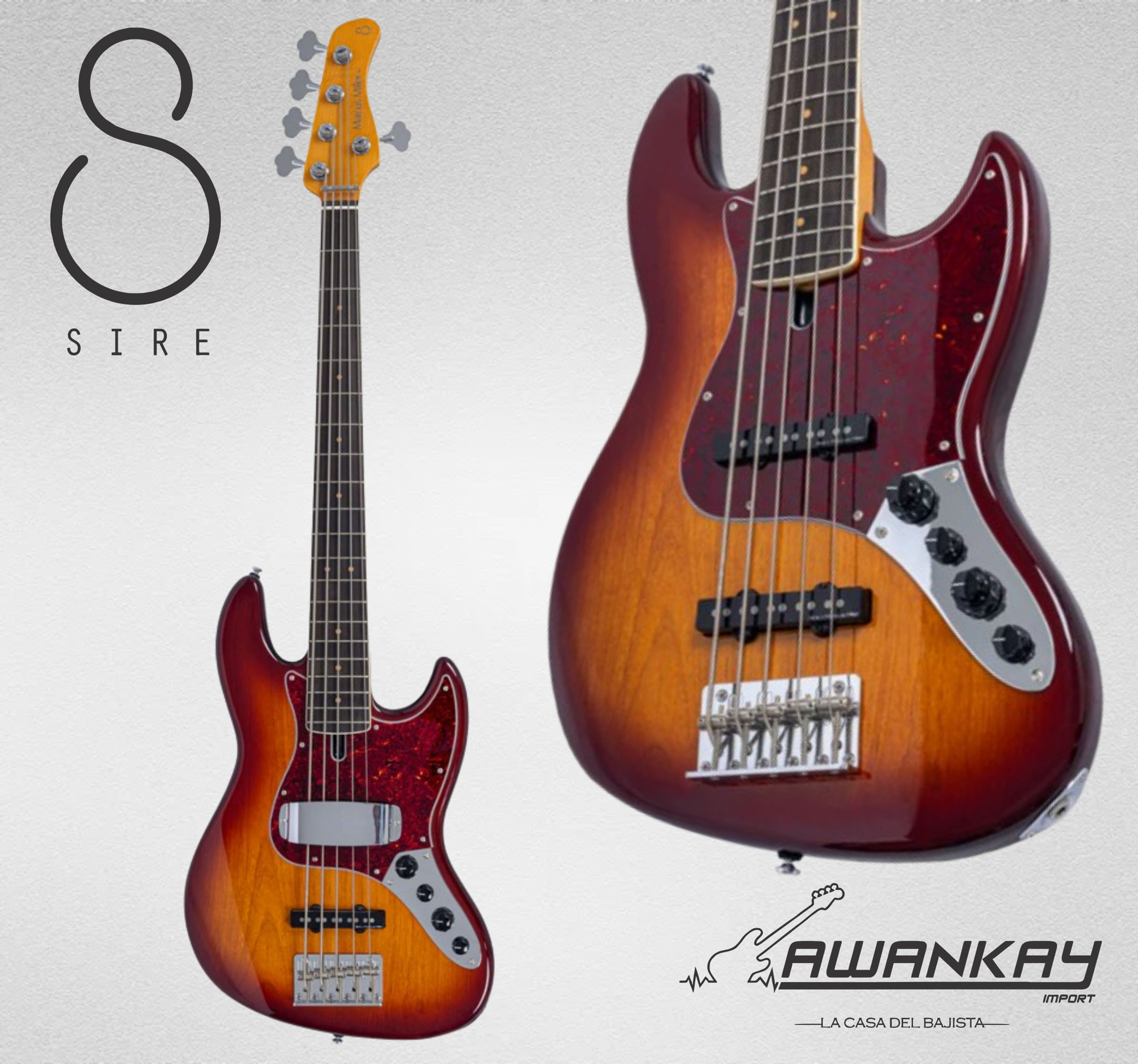 SIRE V7 VINTAGE ALDER 5 TS NEW GEN