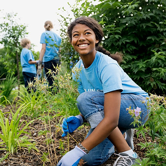 Volunteers-Garden
