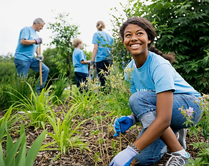 Volunteers-Garden