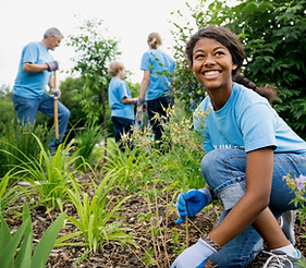 Volunteers-Garden