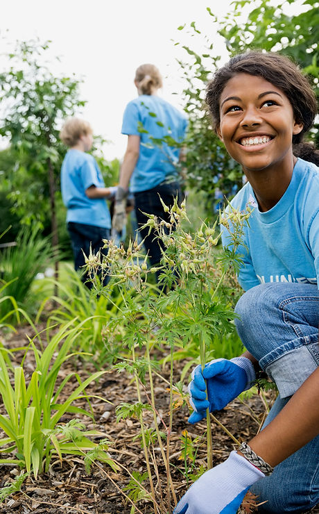 Volunteers-Garden