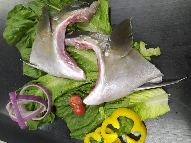 Baja Kanpachi Collars with Garnishes.jpe