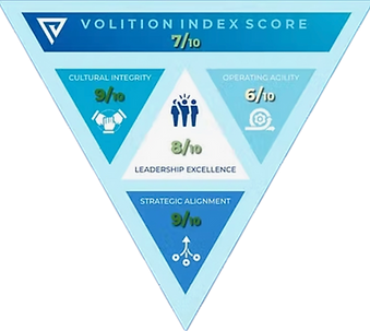 VI Score Icon.heic