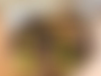 מה זה בעצם אפריטיבו ולמה זיתים מתובלים הם הכוכבים של השולחן?